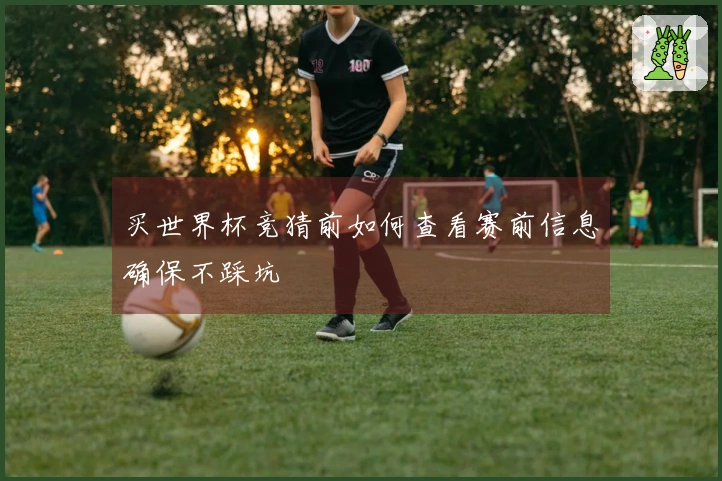 买世界杯竞猜前如何查看赛前信息确保不踩坑
