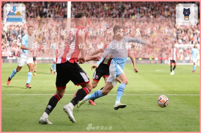 为什么世界杯竞猜网站不靠谱？选择正规平台的关键流程解析