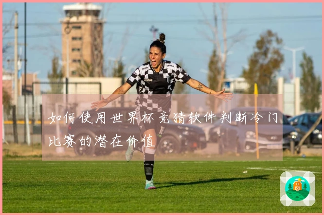 如何使用世界杯竞猜软件判断冷门比赛的潜在价值